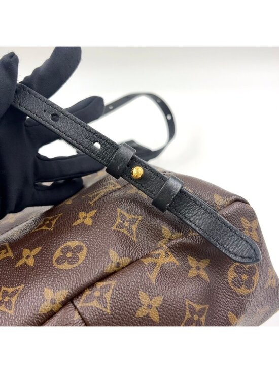 Louis Vuitton Palm Springs PM Monogram Leather Brown Black Backpack Gold main image 6